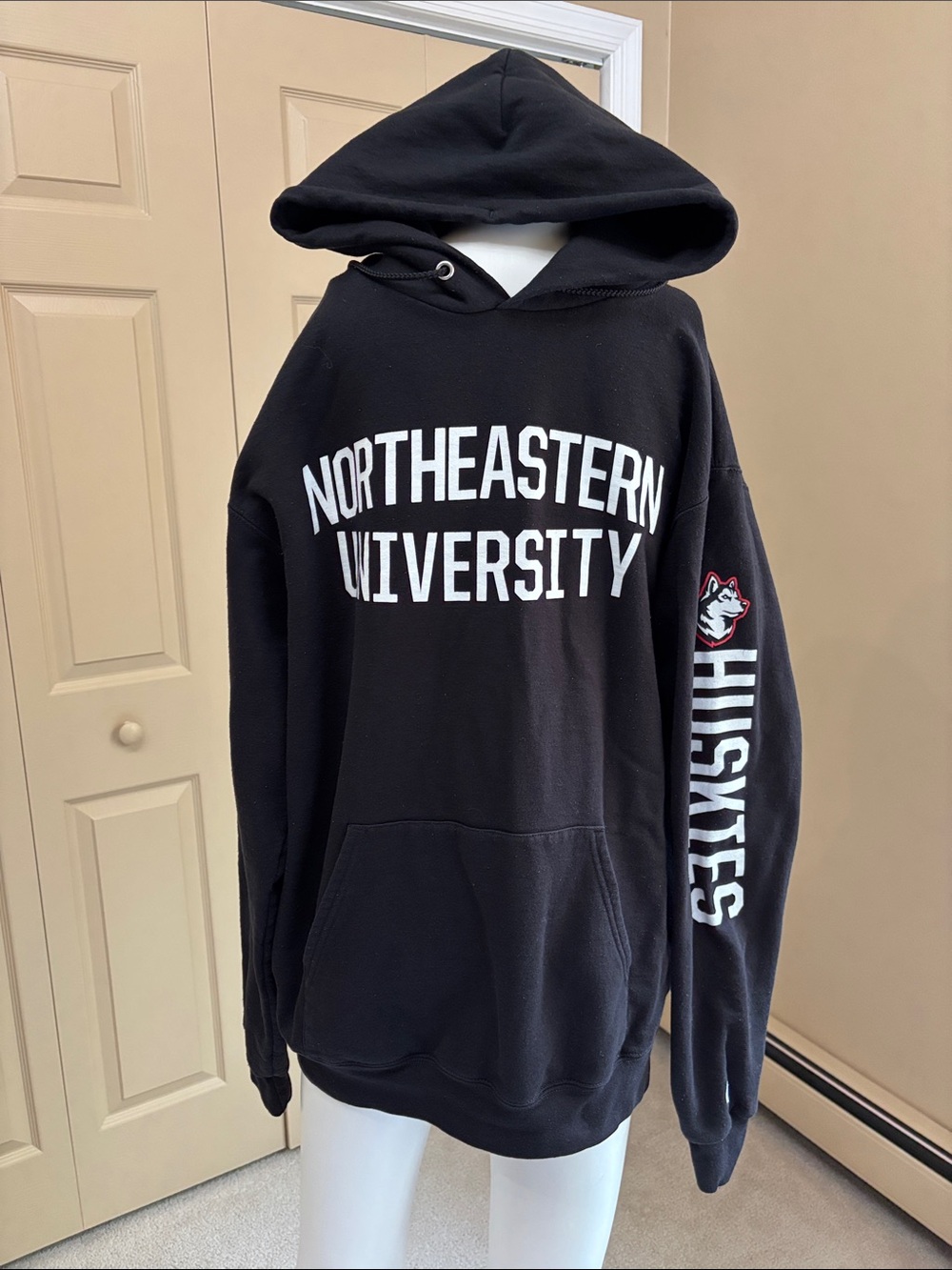 NORTHEASTERN UNIVERSITY graphic hoodie